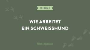 Die Arbeitet ein Schweisshund